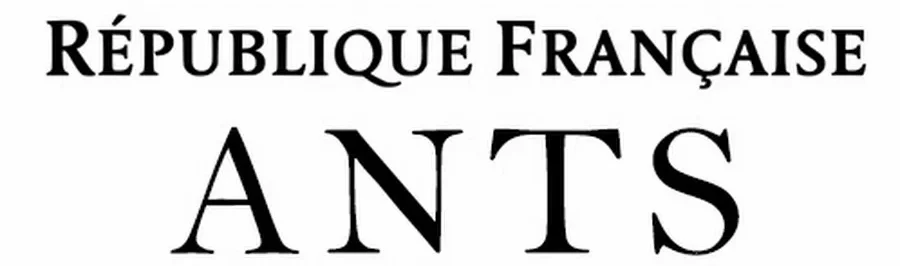 Permis de conduire international